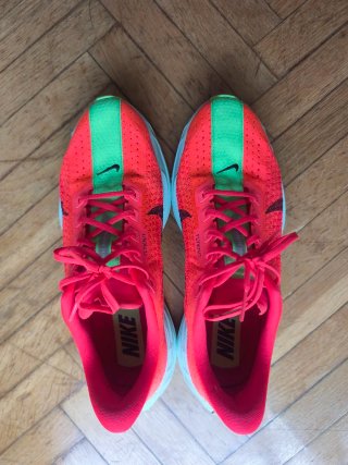 Nike Pegasus Plus – Talla 42