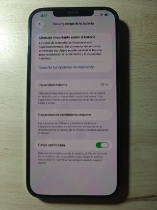 iPhone 12 Pro Max Gris