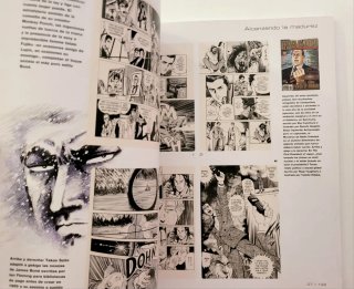 Manga la era del nuevo cómic