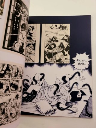 Manga la era del nuevo cómic