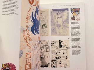 Manga la era del nuevo cómic