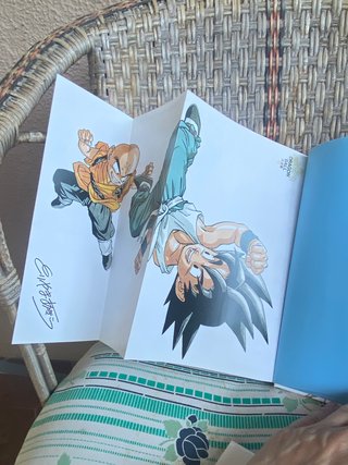 Dragon Ball Libro Story Guide 1995 Japón Autentico