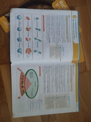 Biología y geología 4 ESO