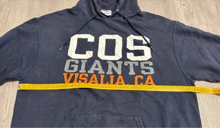 Felpa Champion Vintage College USA - L