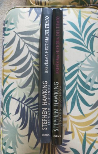 Dos libros gran formato Stephen Hawking.