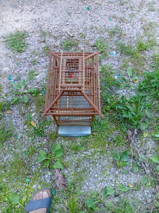 Jaula para pájaros de madera