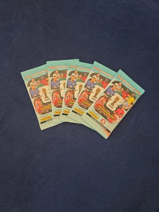 5 Sobres Panini Adrenalyn XL Mundial