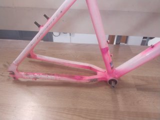 Cuadro Klein Rascal Talla S