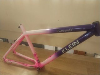 Cuadro Klein Rascal Talla S