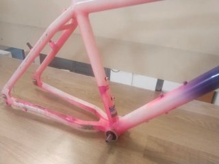 Cuadro Klein Rascal Talla S