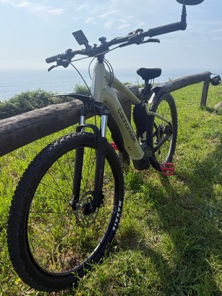 Bici Eléctrica Cannondale Trail Neo 4 Talla M