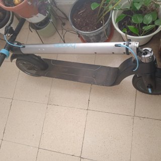 Patinete Eléctrico Cecotec Bongo