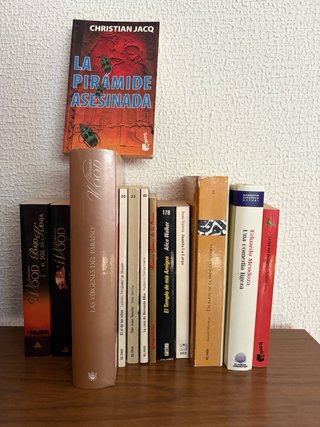 Lote novelas de ficción y entretenimiento