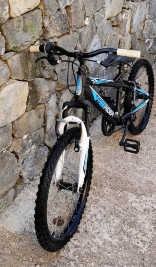 Bicicleta Freerider 20 pulgadas niño