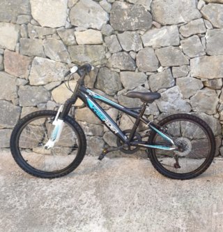 Bicicleta Freerider 20 pulgadas niño
