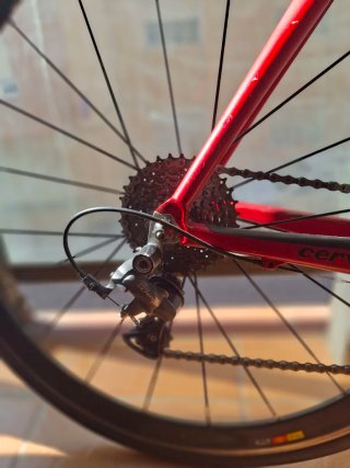 Bici da Strada Carbono