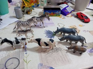 Animales diversos