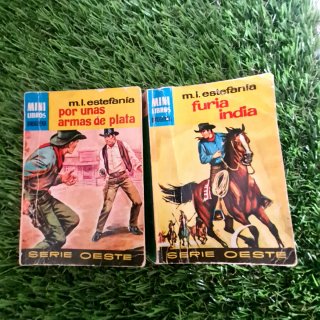 Novelas oeste