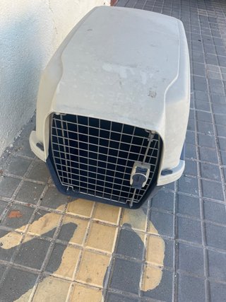 Transportín Perro Azul y Blanco