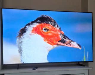 TV Samsung Neo QLED 4K 55 Pulgadas