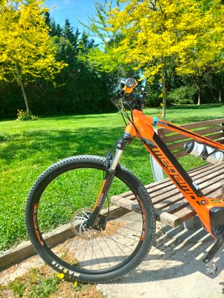 Bicicleta eléctrica Megamo Ridon 10