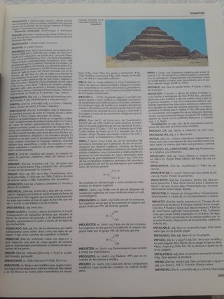 Diccionario Encuclopedico Salvat