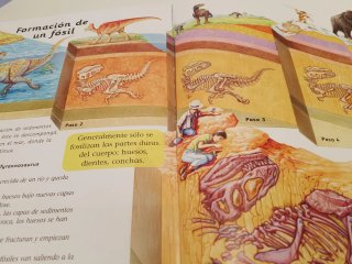 Enciclopedia de dinosaurios