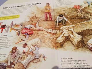 Enciclopedia de dinosaurios