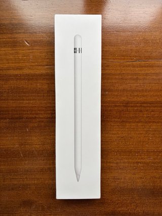 Apple Pencil 1ª Gen