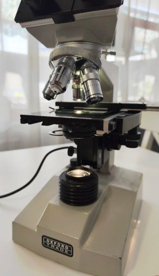 Microscopio OXFORD