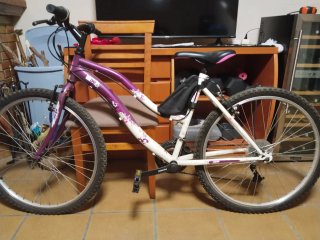 Bicicleta Morada y Blanca
