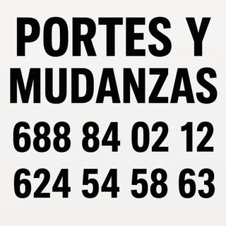 Portes y mudanzas CAMINA RRZ