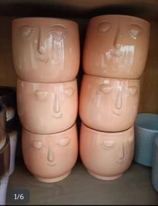 Vaso Viso Ceramica x Pianta Grassa/Orchidea