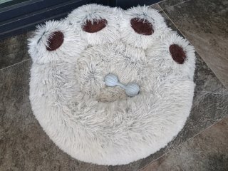 Cama para perro con juguete