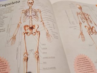 Gran libro del cuerpo humano