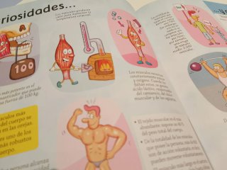 Gran libro del cuerpo humano