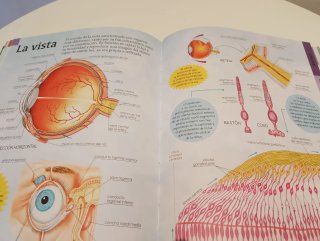 Gran libro del cuerpo humano
