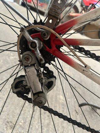 Bicicleta Gacela-BH