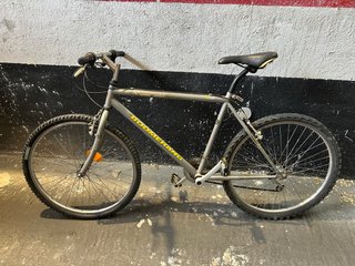Bicicleta Montaña Boomerang Gris