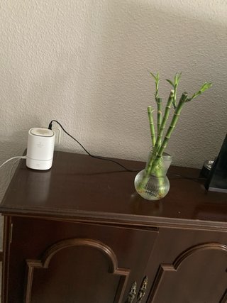 REGALO Mueble de salón clásico