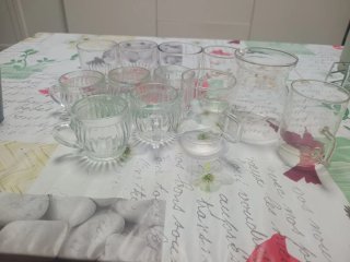 Juego de tazas, vasos, platos y especieros