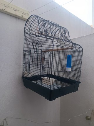Jaula para agapornis negra y azul