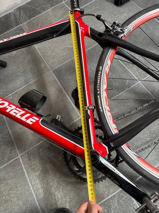 Bici Corsa Carbonio Bertorelle Taglia 49/5