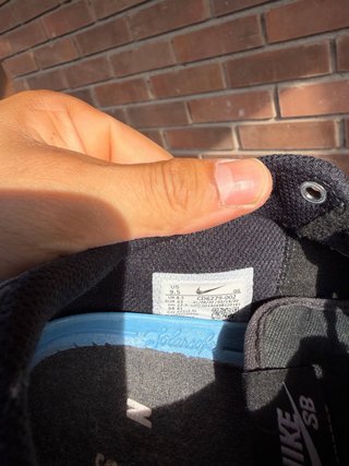 Zapatillas de skate Nike negras y blancas