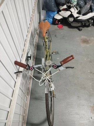 Bicicleta Paseo Gacela BH Vintage