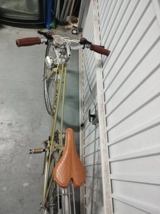 Bicicleta Paseo Gacela BH Vintage