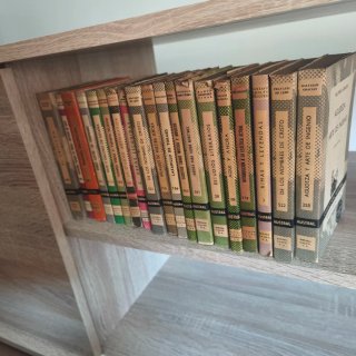 Colección 19 libros de bolsillo Austral
