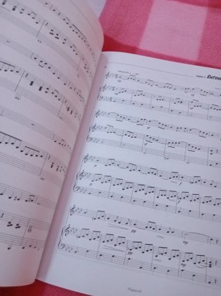 Lote Libros Música Flauta Travesera