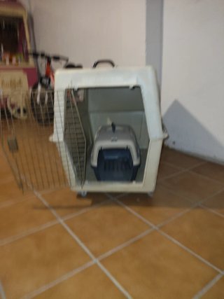 Transportín Perro Grande Beige