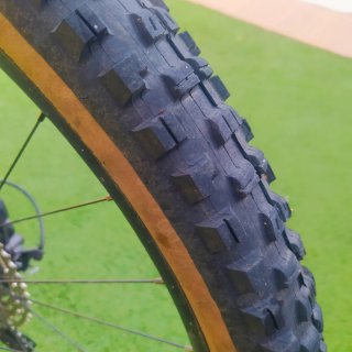 Orbea Wild H-10 2024